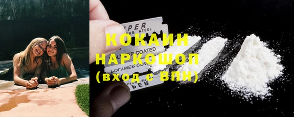 PSILOCYBIN Кукмор