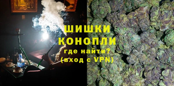 PSILOCYBIN Кукмор